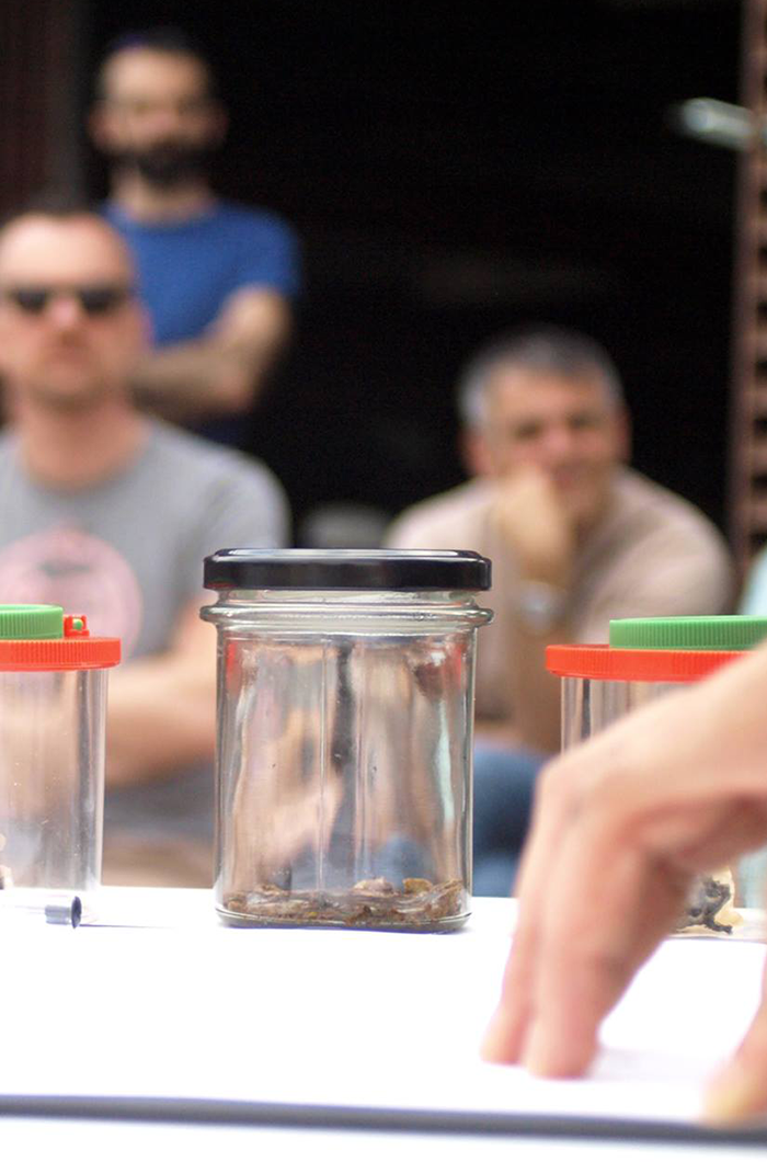 Piccole e medie imprese e professionisti