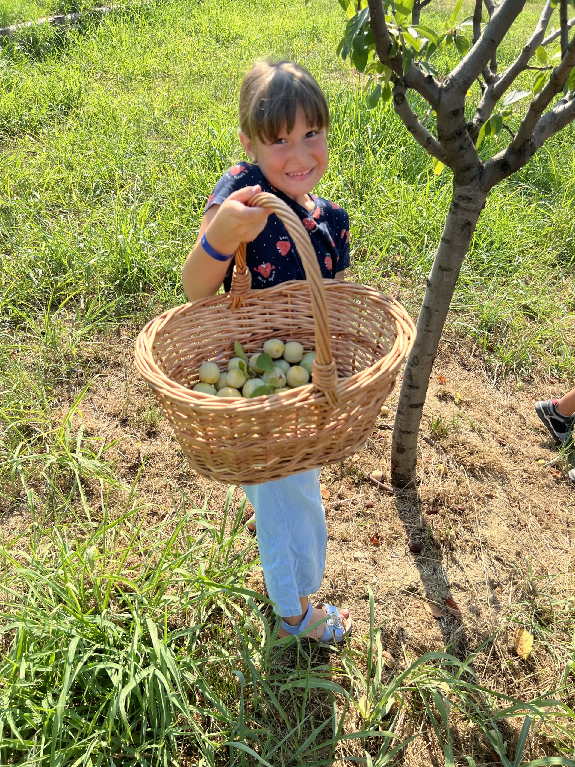 La magia di Estate Paideia